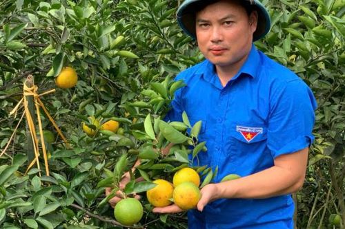 Thủ lĩnh Đoàn, giỏi làm nông thôn mới!