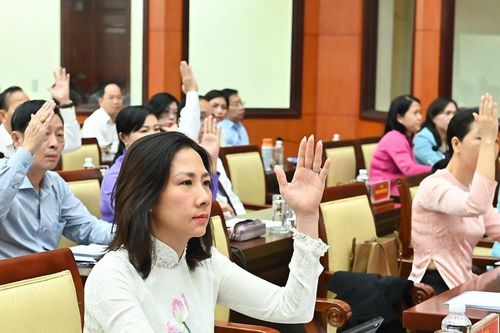 HĐND TP HCM đồng ý thử nghiệm phương tiện bay không người lái