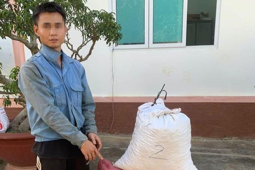 Nhức nhối nạn trộm cắp cà phê ở Tây Nguyên