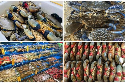 Tin tức kinh tế ngày 18/11: Cua ghẹ Việt Nam 'đắt hàng' tại Trung Quốc