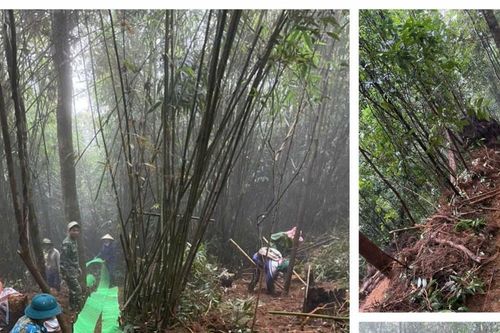 Qua kiểm tra việc trồng sâm Ngọc Linh trong rừng phòng hộ Puxailaileng: Cần kịp thời, nghiêm túc chấn chỉnh vi phạm!