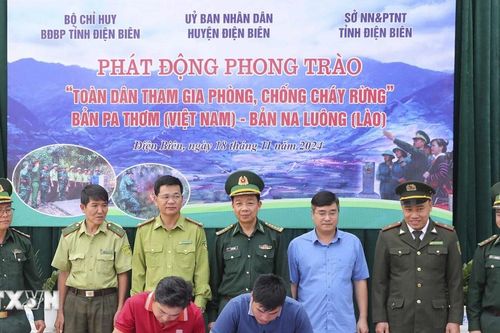 Điện Biên: Người dân biên giới Việt Nam-Lào chung tay bảo vệ rừng