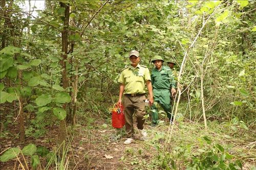 Nỗ lực ngăn chặn tình trạng săn bắt động vật hoang dã ở Đắk Lắk