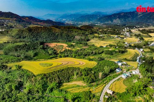 Ảnh 360 độ: Mê đắm mùa vàng trên đường lên cửa khẩu Hoành Mô, Quảng Ninh