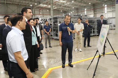 Ninh Bình kết nối hợp tác với các thành phố lịch sử, đô thị di sản của Armenia