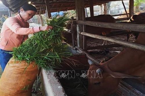 Bổ sung tiêu chí xác định người có thu nhập thấp