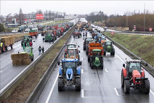 Nông dân Pháp biểu tình phản đối thỏa thuận thương mại tự do EU-Mercosur