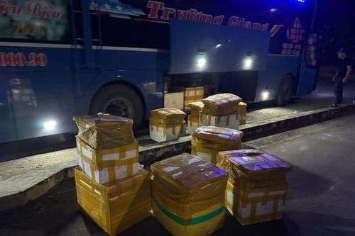 Hòa Bình: Ngăn chặn kịp thời phương tiện vận chuyển 800kg nội tạng hôi thối