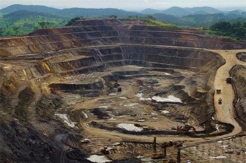 Phát hiện kho báu nằm sâu dưới 1.000m trong rừng gỗ quý khiến các chuyên gia đau đầu tìm cách đào lên