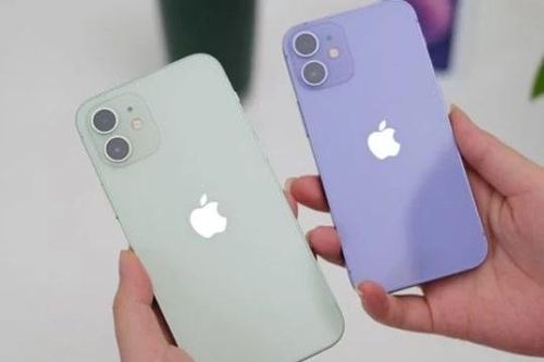 Top 3 iPhone giá rẻ đáng mua nhất Việt Nam hiện nay: iPhone 11 chỉ từ 8 triệu, iPhone 13 màu hồng đẹp mê mẩn