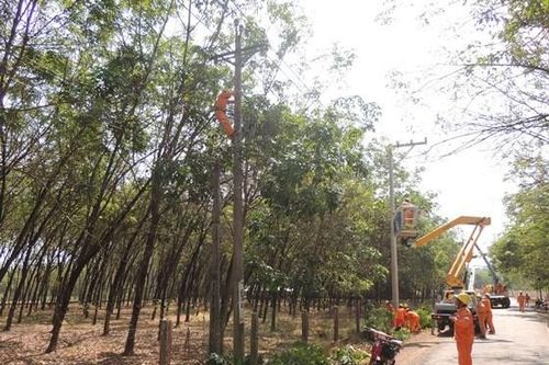 Lịch cắt điện Đồng Nai ngày mai 19/11 cập nhật mới nhất.
