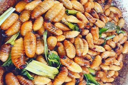 7 đặc sản chỉ có ở Bến Tre, có món nhìn kinh dị nhưng ăn rồi sẽ mê mệt