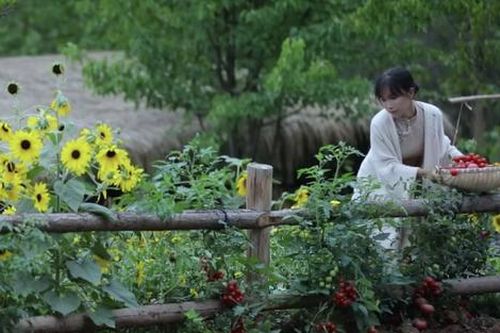 Tiểt lộ thu nhập khủng của 'tiên nữ đồng quê' Lý Tử Thất, ngồi không vẫn kiếm tiền tỷ