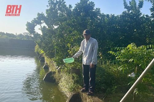 Hội Nông dân Thiệu Hóa 'tiếp sức' cho hội viên phát triển kinh tế