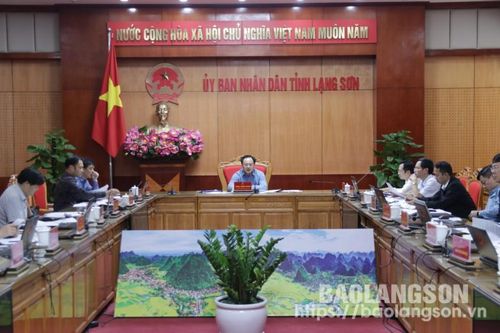 UBND tỉnh họp xem xét nội dung liên quan đến mức đầu tư, hỗ trợ đầu tư bảo vệ và phát triển rừng