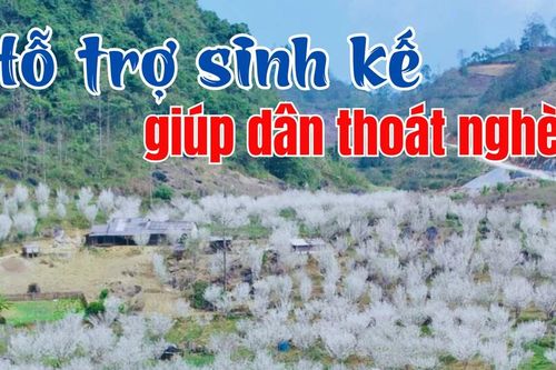 Hỗ trợ sinh kế giúp dân thoát nghèo