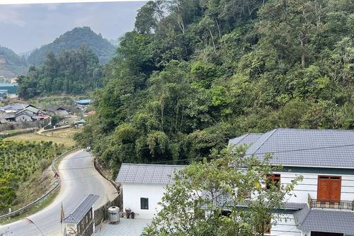 'Quả ngọt' đơm hoa trên núi đá