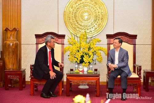 Chủ tịch UBND tỉnh Nguyễn Văn Sơn làm việc với lãnh đạo Công ty cổ phần EREX (Nhật Bản)