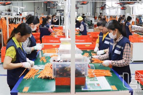 Ban Quản lý các khu công nghiệp tỉnh: Về đích sớm kế hoạch thu hút đầu tư