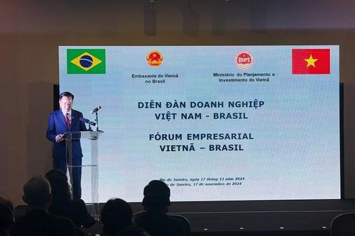 Diễn đàn Doanh nghiệp Việt Nam - Brazil: Kỳ vọng gia tăng hợp tác song phương trong lĩnh vực hóa chất