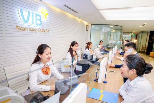 Lộ diện nhóm cổ đông mới chi phối gần 10% vốn Ngân hàng VIB