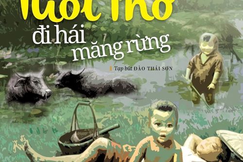 Tuổi thơ đi hái măng rừng