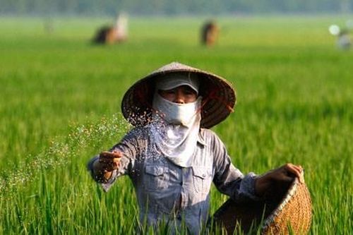 Giảm gánh nặng cho HTX nếu áp thuế giá trị gia tăng cho phân bón