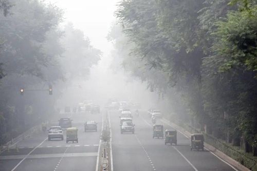 Ấn Độ: Đóng cửa trường học do ô nhiễm không khí trầm trọng