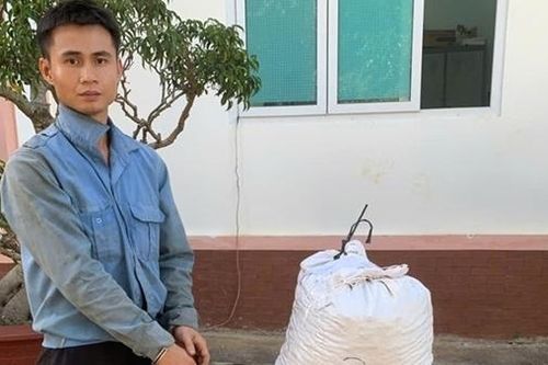Bắt giữ nhiều đối tượng trộm cắp cà phê ở Lâm Đồng