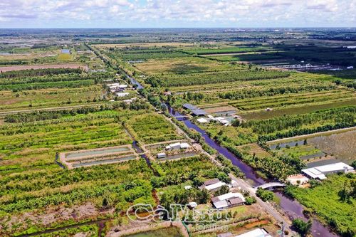 Chậm cổ phần hóa các công ty lâm nghiệp