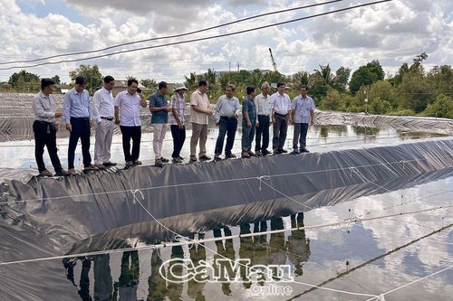 Khoa học - công nghệ nền tảng cho sản xuất và đời sống