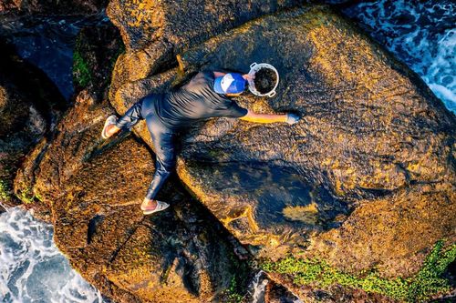 Nguy hiểm nghề 'bám đá ăn rong' tại Bình Định