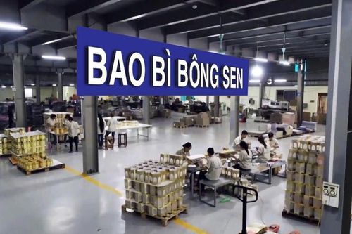 Nâng tầm giá trị thương hiệu, ghi đậm dấu ấn với khách hàng cùng Bao bì Bông Sen
