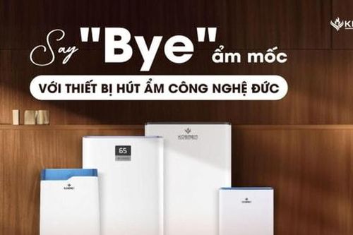 4 máy hút ẩm bảo vệ sức khỏe cho mùa nồm năm 2025