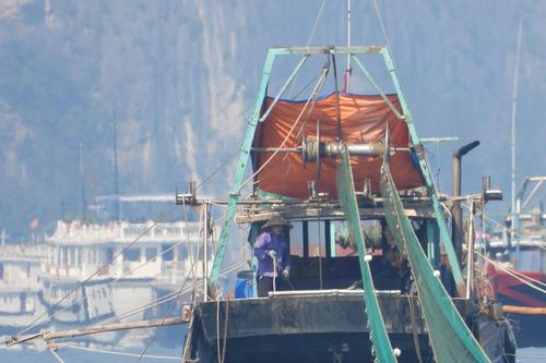 Tàu giã cào 'đại náo' vịnh Hạ Long