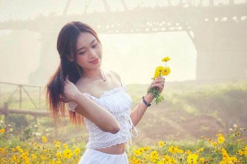 'Rừng hoa cúc' dưới chân cầu Long Biên thu hút du khách