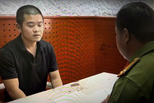 Truy tố phó giám đốc thuê người cắt 9 cây cau