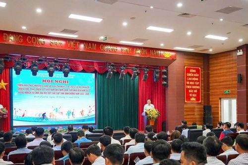 Bình Dương thực hiện chiến lược phát triển TDTT và kế hoạch tổ chức Đại hội TDTT các cấp