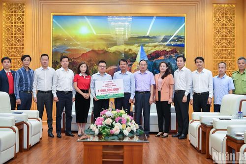 Báo Nhân Dân trao tặng tỉnh Lào Cai 68.000 cây xanh để khắc phục hậu quả bão số 3