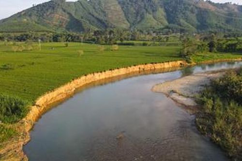 Bờ sông Ngàn Phố (Hà Tĩnh) sạt lở nghiêm trọng