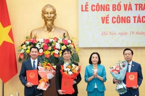 Trao nghị quyết bổ nhiệm Trợ lý Chủ tịch Quốc hội