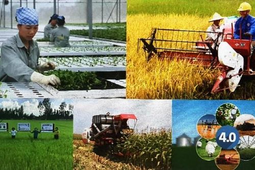 Hà Nội sẽ đối thoại với nông dân về chuyển đổi số