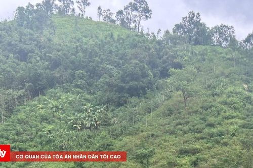Bị đánh nhập viện vì tiểu vào chai nước uống của người khác