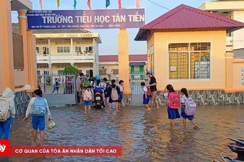 Triều cường dâng cao làm nhiều điểm trường tại Cà Mau ngập sâu