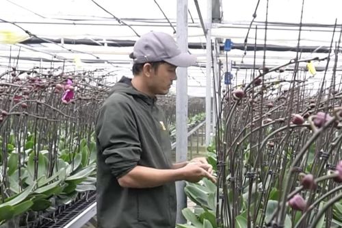 Quảng Trị: Chuyển giao khoa học và công nghệ hỗ trợ đồng bào vùng DTTS&MN