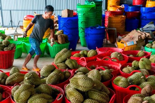 Nỗi buồn của nhiếp ảnh Việt
