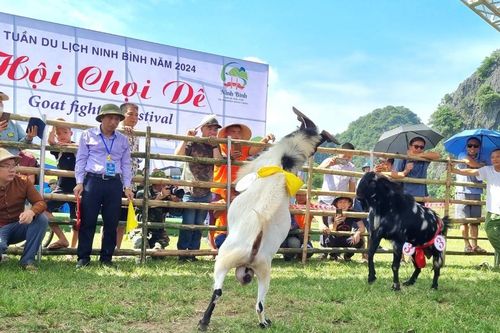 Ninh Bình tích cực chuyển đổi số trong du lịch