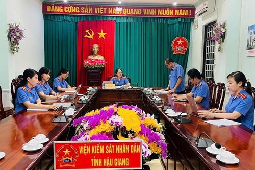 VKSND tỉnh Hậu Giang tăng cường công tác chỉ đạo báo cáo án dân sự bằng sơ đồ tư duy