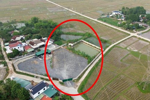 Ngang nhiên lập bãi tập kết xe tải dưới đường điện 500kV