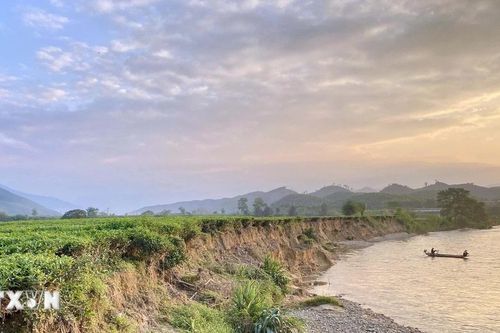 Bờ sông Ngàn Phố sạt lở nghiêm trọng khiến người dân mất đất canh tác